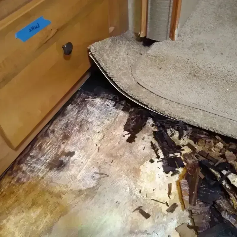 Best Wood Floor Water Damage Service in Merrionette Park, IL